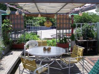 1058 Berwyn Ave, Chicago IL  60640-2411 exterior