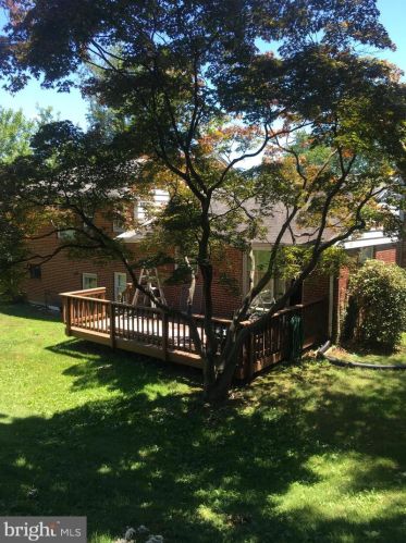 4510 Rynex Dr, Alexandria VA 22312-1515 exterior