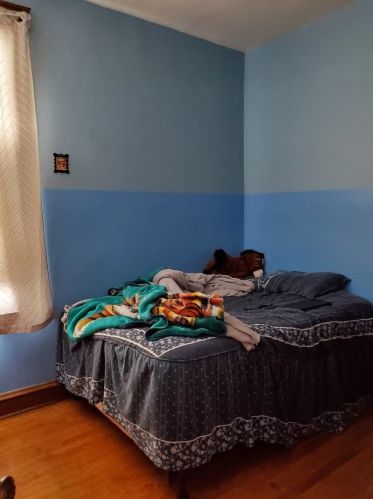 1356 Ridgeway Ave, Chicago IL 60659-1116 exterior