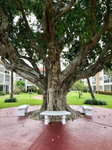 400 20th St, Boca Raton FL 33431-8119 exterior