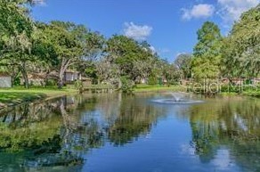 7813 Lemonwood Ct, Tampa FL  exterior