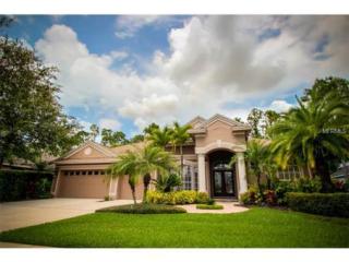 10511 Greensprings Dr, Tampa, FL 33626-1724