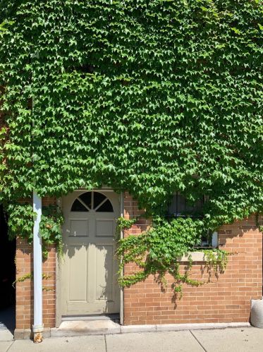 4845 Ellis Ave, Chicago IL 60615-5008 exterior