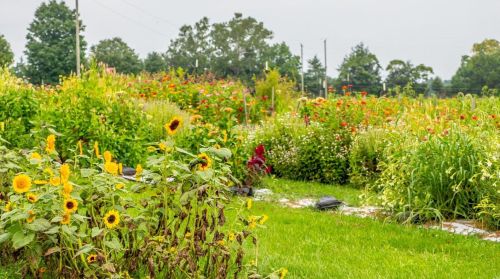 572 Spring Cave Rd, Spring Bluff MO exterior