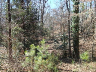 565 Fortson Rd, Athens, GA 30606-4109