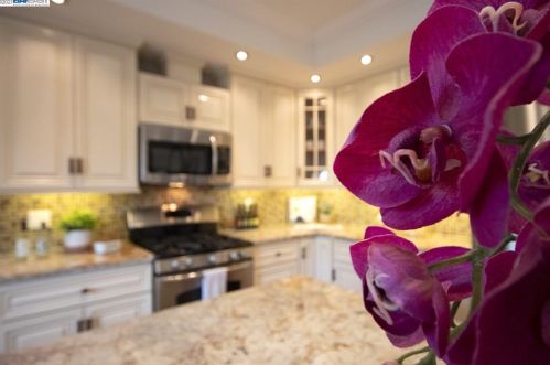 1870 Elinora Dr, Concord CA 94523-2815 exterior