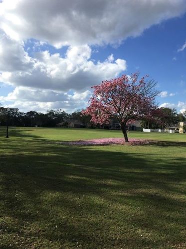 775 Cricklewood Ter, Lake Mary FL 32746-5306 exterior