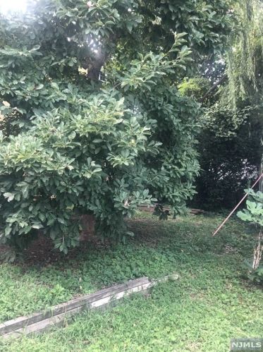 189 Walker St, Cliffside Park NJ 07010-1147 exterior