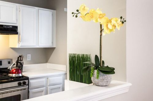 3804 Benjamin Ct, Atlanta GA 30331-2056 exterior