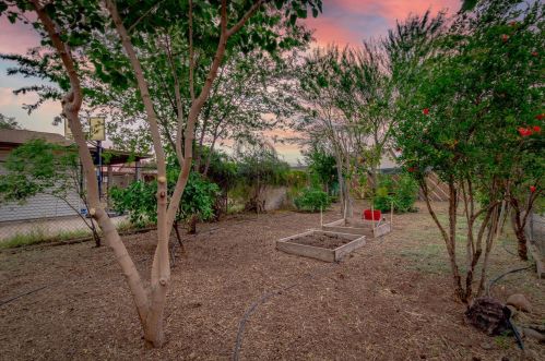 3844 Bloomfield Rd, Phoenix AZ  85032-7334 exterior