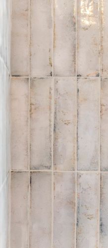 2500 11 Ave, Broadview IL 60155-4814 exterior