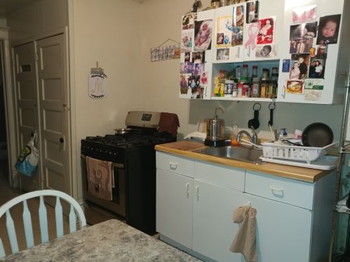 4801 Ada St, Chicago IL 60609-5919 exterior