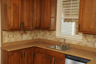 1158 Castleton Rd, Cleveland OH  44121-1522 exterior