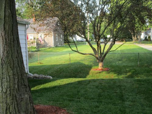 3104 Morgan St, Kalamazoo MI 49001-4497 exterior