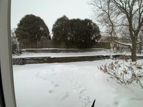 1387 Parkridge Ct, Bull Valley IL 60014-8693 exterior