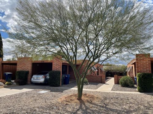 1217 Dodge Blvd, Tucson AZ 85713-5339 exterior