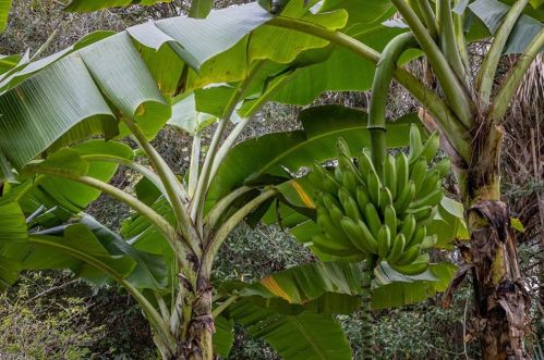 1221 31 St, Naples FL 34117-3102 exterior