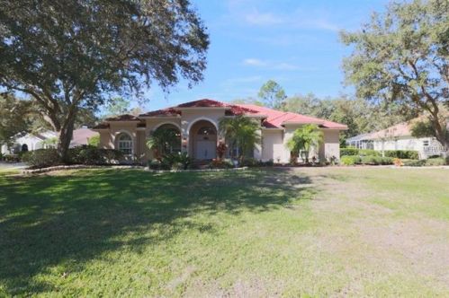 15825 Dawson Ridge Dr, Tampa, FL 33647-1322