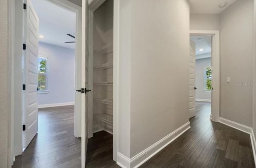 3902 Obispo St, Tampa FL 33629-7828 exterior