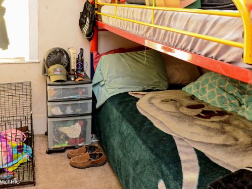 940 Mcreynolds Ave, Grand Rapids MI 49504-4439 exterior