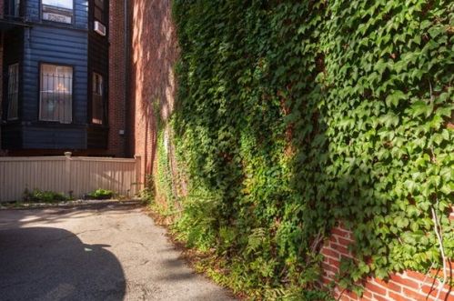 313 Beacon St, Boston MA exterior