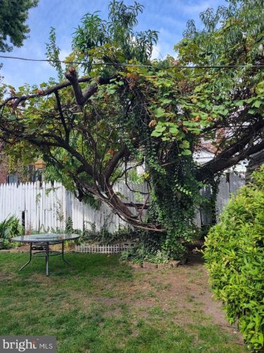 531 Benner St, Philadelphia PA 19149-3214 exterior