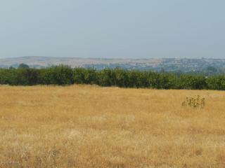 2155 72nd Ave, Yakima, WA 98903-9606