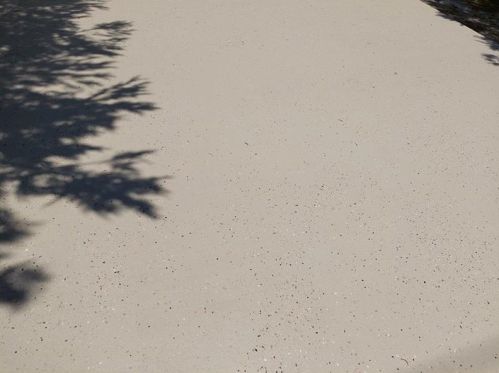 509 Floresta Dr, Fort Pierce FL  34983-8613 exterior