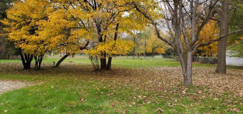 2131 G Ave, Kalamazoo MI 49004-1942 exterior