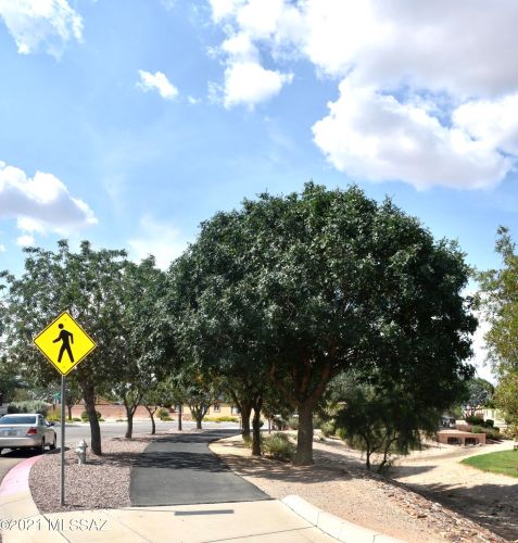 7449 Fair Meadows Loop, Tucson AZ 85756-6151 exterior