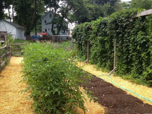 106 Winding St, Huntington Station NY 11746-1251 exterior