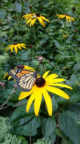 1377 County Road E, Saint Paul MN  55110-5231 exterior