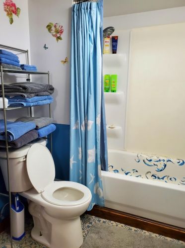 513 Decalb St, Reed City MI 49677-1347 exterior