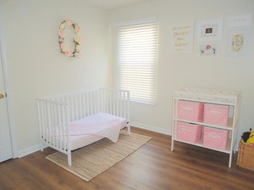 3679 Montrose Pond Ct, Duluth GA 30096-6636 exterior