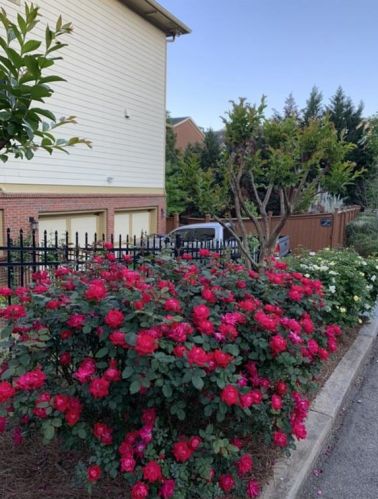 1257 Arkwright Pl, Atlanta GA 30317-0016 exterior