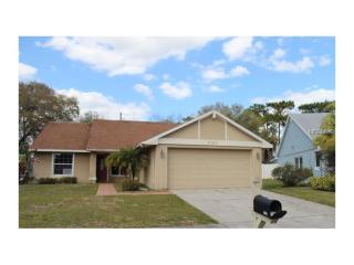 7121 Hollowell Dr, Tampa FL  33634-1090 exterior
