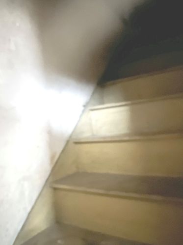 611 18 Ave, Broadview IL 60155-3928 exterior