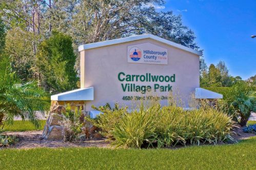 4219 Cartnal Ave, Tampa FL  33618-8600 exterior