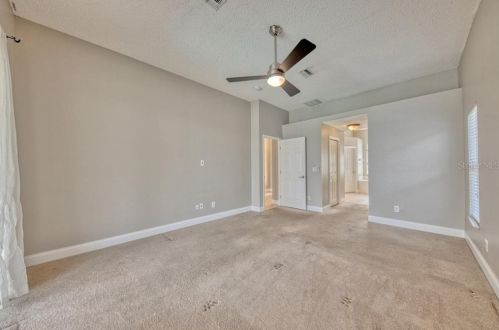 10041 Oasis Palm Dr, Tampa FL 33615-2779 exterior