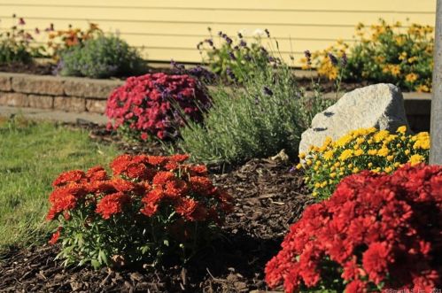 8 Roosevelt Blvd, Enfield CT 06082-2041 exterior