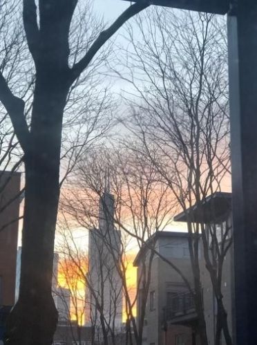 23 Racine Ave, Chicago IL 60607-2017 exterior