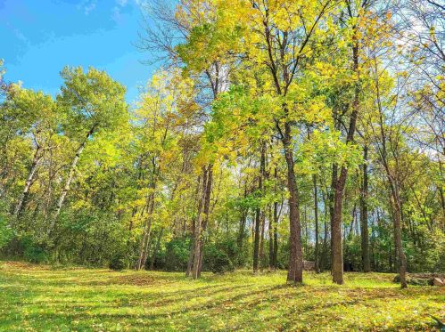 218 Blackman Ave, Duluth MN 55811-5231 exterior