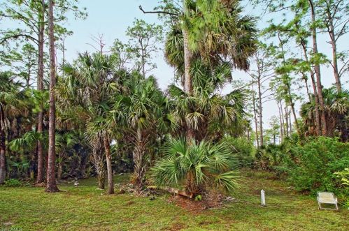 4681 16 Ave, Naples FL 34117-9190 exterior