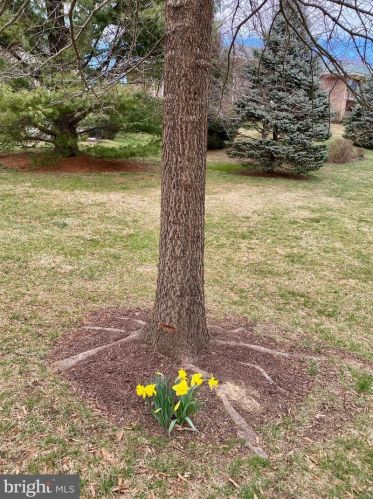 3384 Chiswick Ct, Silver Spring MD  20906-1648 exterior