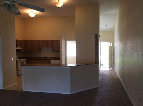 3237 Laurel Dl Dr, Tampa FL 33618-1045 exterior