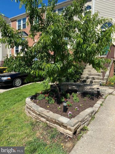 7672 Blueberry Hill Ln, Ellicott, MD 21043-7974