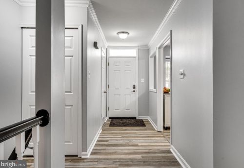 5319 Buxton Ct, Alexandria VA 22315-4760 exterior