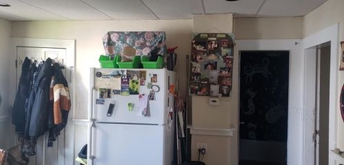 19 Whipple St, Worcester MA 01607-1339 exterior