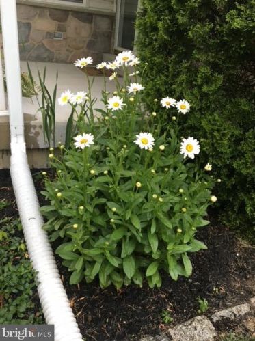 50 Steeplechase Cir, Chester PA 19014-1463 exterior