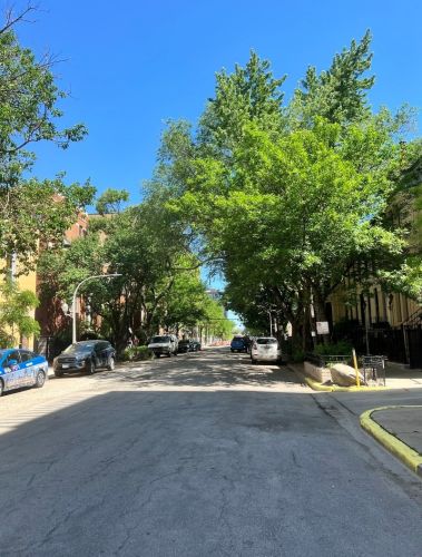 1312 Madison St, Chicago IL  60607-1932 exterior